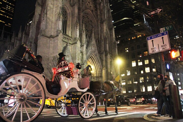 Magical Evening Horse-Drawn Carriage through NYC (65 min) - Photo 1 of 15
